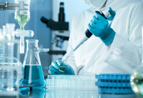 Processo per l’inseminazione artificiale
